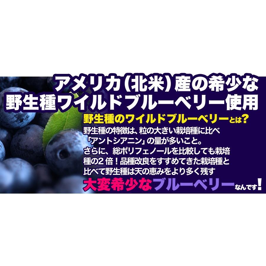 ワイルドブルーベリー 1kg×5 ブルーベリー 無添加 ポリフェノール ドライフルーツ 野生種 乾燥フルーツ 果物 フルーツ 美容 健康 業務用 大容量 送料無料