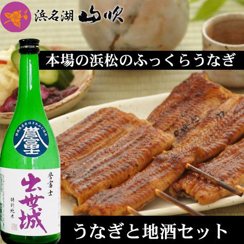 うなぎ蒲焼き2人前 浜松地酒 出世城セット 詰め合わせ 送料無料