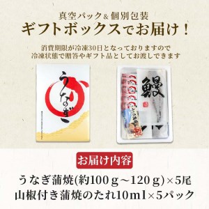  国産 鰻 うなぎ 5尾 肝 佃煮 おまけ付き ギフト セット 蒲焼 うな丼 うな重 ひつまぶし 土用 丑の日 （ うなぎ 鰻 うなぎ蒲焼き 鰻蒲焼 うなぎ5尾 うなぎ定期便 鰻3ヶ月 うなぎギフト 鰻 うなぎ FN-SupportProject うなぎ FN-SupportProject 年末企画 鰻 うなぎ 年末企画 静岡 年末企画 沼津 ）