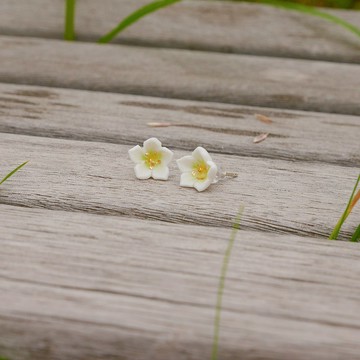 【花語系列】蕎麥花耳環 • Mini //925純銀