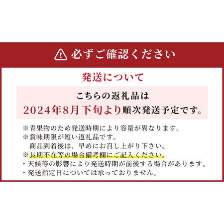 ふるさと納税 先行予約 産地直送 シャインマスカット 2房セット 約1kg ギフト 贈答品 果物 セット 福岡県広川町