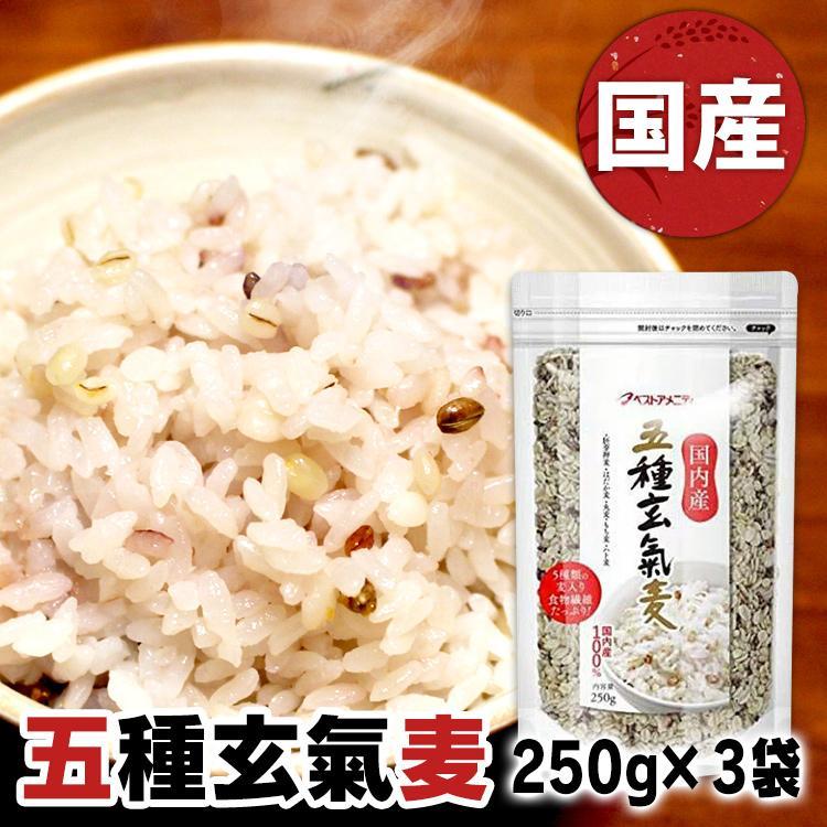 ベストアメニティ 国内産 五種玄氣麦 250g