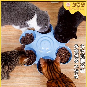 貓碗 多貓防搶食 防打翻 六碗狗食盆 多寵分食六格碗 貓咪喝水碗 幼犬幼貓碗 寵物碗 狗糧碗 貓盆狗盆 多功能寵物餵食碗