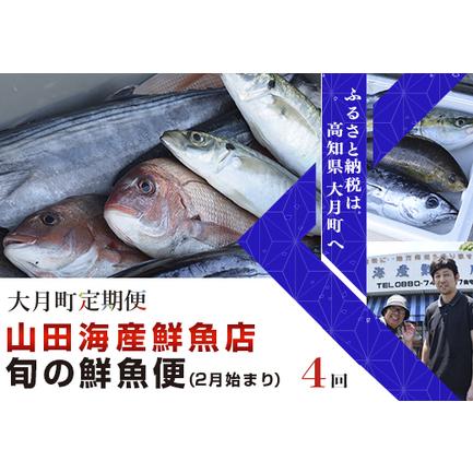 ふるさと納税 山田さんちの「旬の鮮魚便」 計4回(2月始まり) 高知県大月町