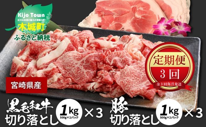 牛肉＆豚肉切り落としセット K16_T004_2