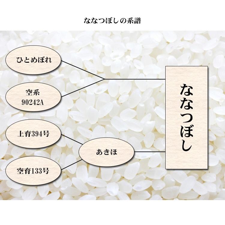 新米 お米 5kg 送料別 白米 ななつぼし 北海道産 令和5年産 1等米 お米 5キロ あす着く食品