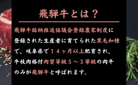 「飛騨牛」A5等級 ロース 500g 鉄板焼き 網焼き 焼肉 バーベキュー BBQ 28-010