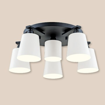 金屬烤漆造型吸頂燈 F37-21-92691