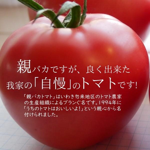 [予約 5以降お届け]親バカトマトのミニトマト250g×6袋詰 おまかせセット1.5kg  ギフト いわき市産 助川農園 農園直送