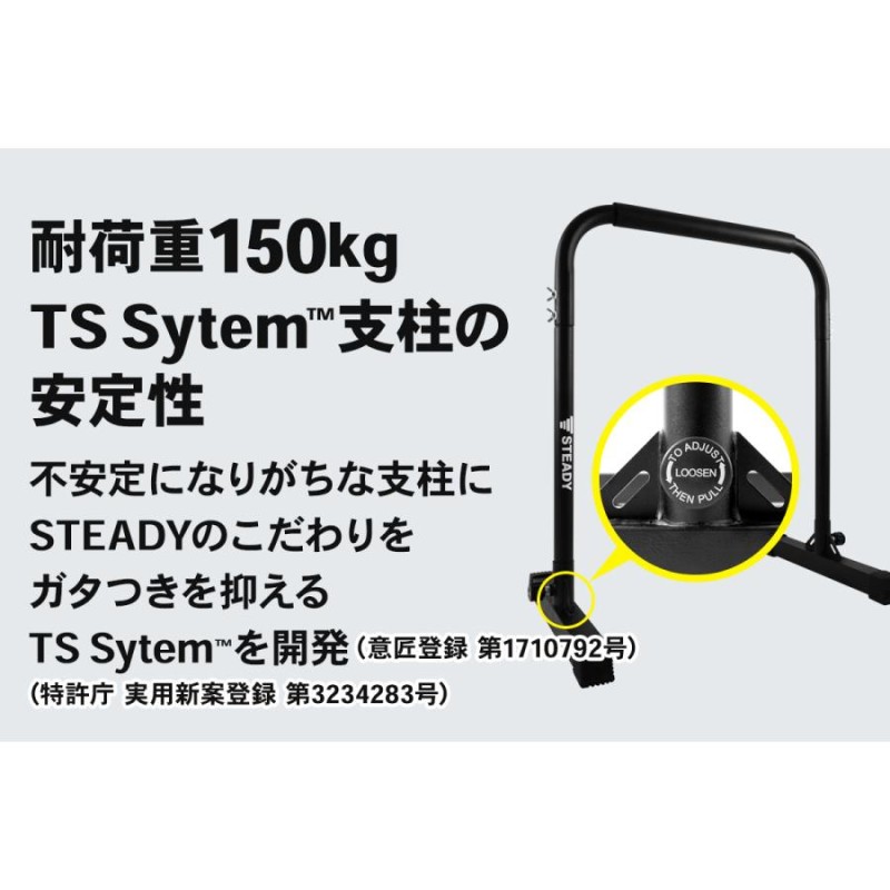 ディップススタンド 新開発TS System支柱 耐荷重150kg ディップスバー 