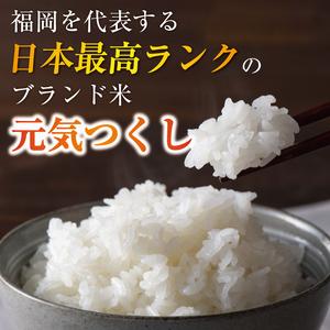 ふるさと納税 令和5年産 福岡県産 米 食べ比べ＜白米＞セット「夢つくし」と「元気つくし」2種類 計20kg入り [a0261] 株式会社 ゼロプラス 【返.. 福岡県添田町