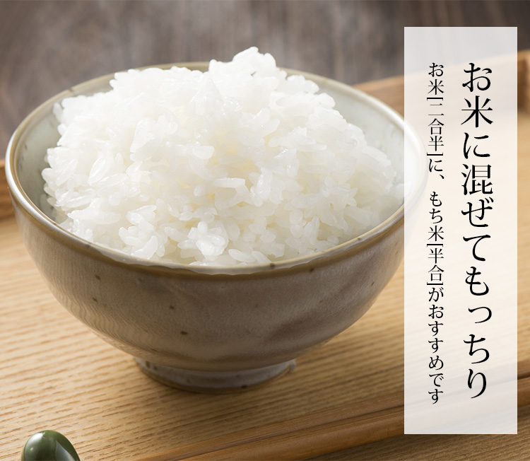 新米 もち米 愛知県 十五夜もち 1.4kg 1升 令和5年産