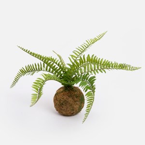 艾禮思擬真苔球盆栽蕨葉25cm