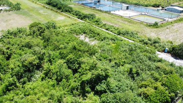 花蓮優質近雲山水超大坪數面寬農地｜花蓮縣壽豐鄉萬壽段二小段