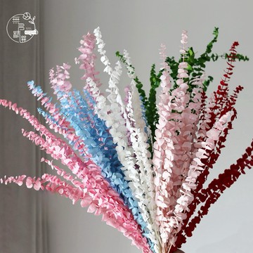 現貨🔺真花 漂色 尤加利 永生花 乾燥花批發 銅錢桉 diy 婚慶 家居裝飾 乾花 婚禮佈置 捧花 乾燥花 乾燥花批發