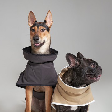 【 VERVVE 】Concrete Steps | 寵物服飾 | 寵物易穿撥水防風外套