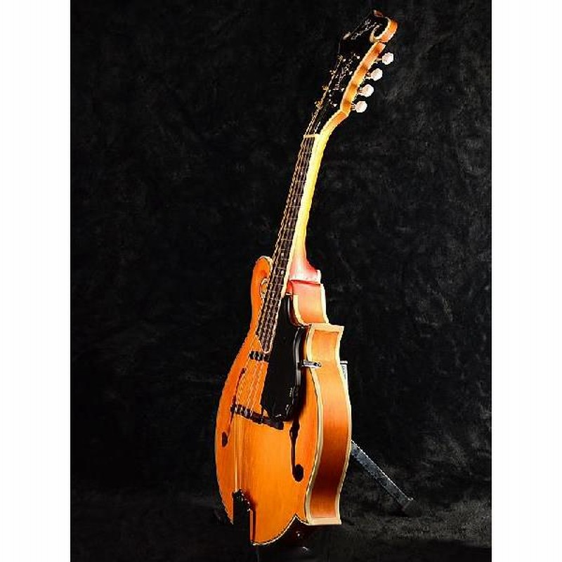 Epiphone MM-50E エレキ マンドリン エピフォン ハードケース