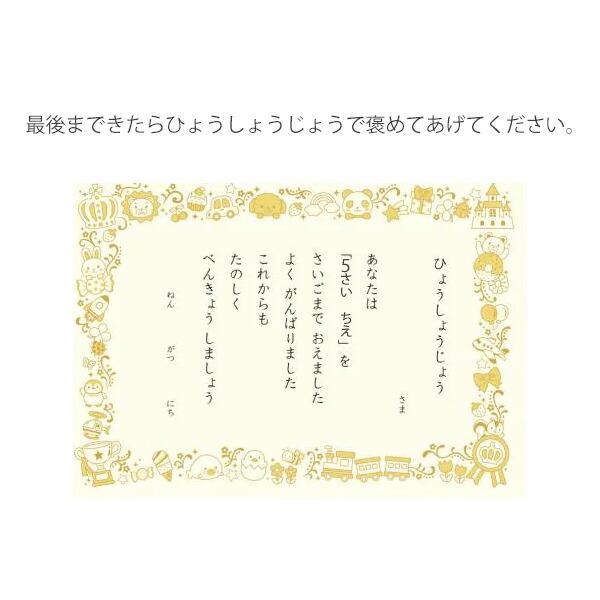 学研の5さいのワーク ちえ N048-09 46ページ がんばったねシールと表彰状付き 幼児能力開発シリーズ