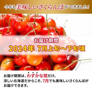 ふるさと納税 先行予約 北海道 仁木町産 ご自宅用 さくらんぼ （ 徳用 ）約2kg 仁木ファーム果実 フルーツ 名産地  お取り寄せ 北海道仁木町