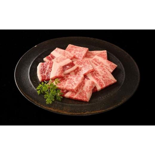 ふるさと納税 兵庫県 加西市 神戸牛 サーロインステーキ＆焼肉 お試し用 神戸ビーフ カルビ 詰め合わせ キャンプ BBQ アウトドア