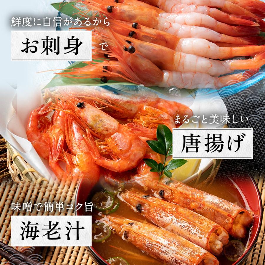 甘えび  甘海老 天然甘エビ 刺身 生食可 福井県産 純国産 無添加 冷凍甘エビ 1kg（500g×2箱） 送料無料 内祝い お歳暮 プレゼント ギフト