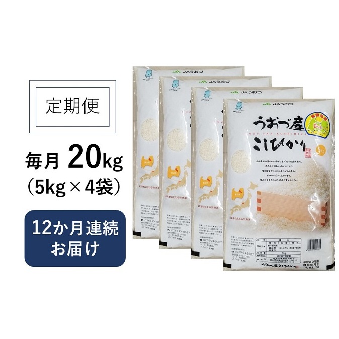 定期便 米 20kg (5kg×4袋) 12ヶ月 コシヒカリ 富山 魚津産 こめ コメ お米 おこめ 白米 精米 12回 お楽しみ