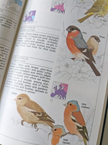 英國&歐洲動物與植物生活指南