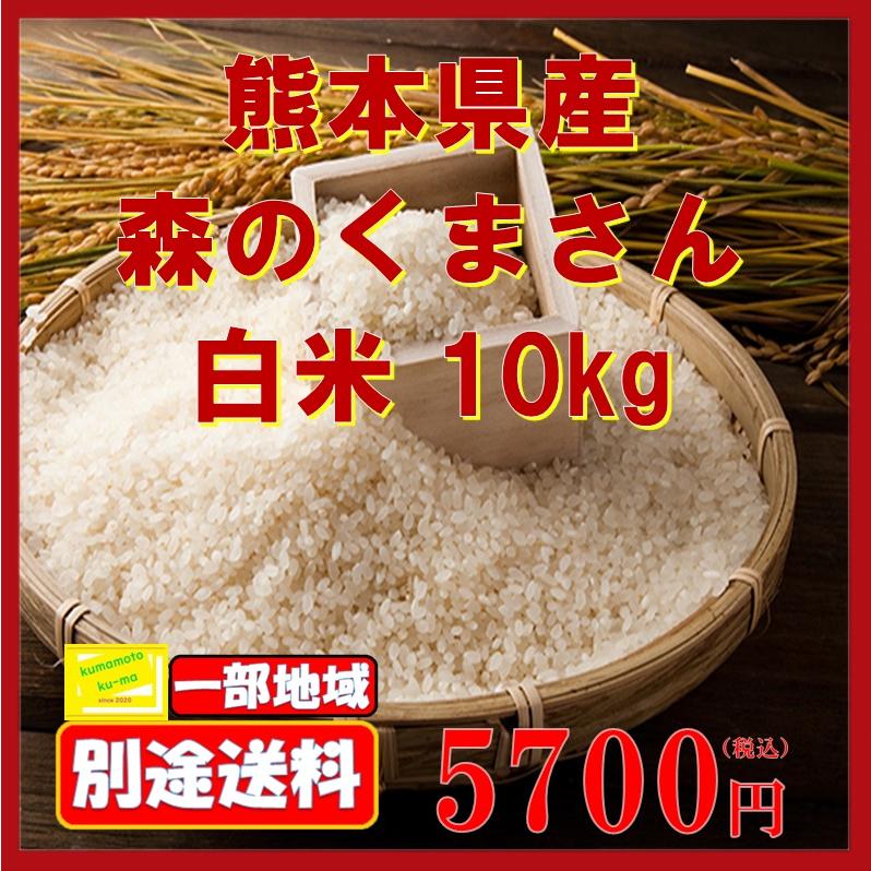 令和5年産　森のくまさん　10ｋｇ　白米　新米　熊本県産　熊本　米　お米