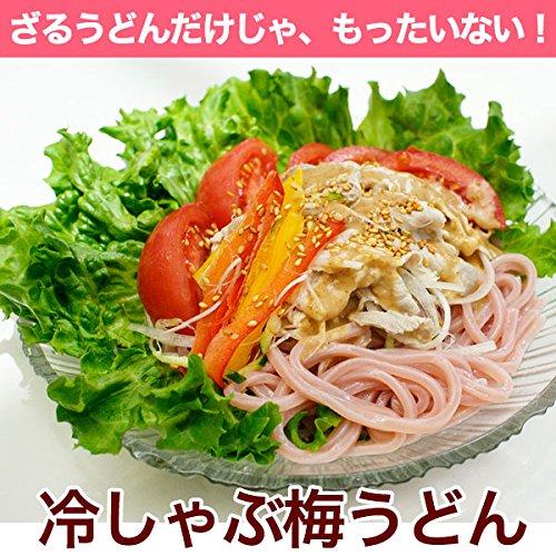 ふみこ農園 ご家庭用 大盛り冷し梅うどん 麺、めんつゆ、梅干240gが付いて10食分セット