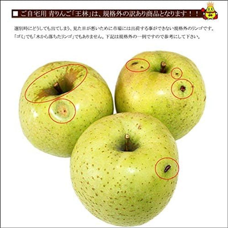 山形県産 ご家庭用 青りんご 王林 10kg