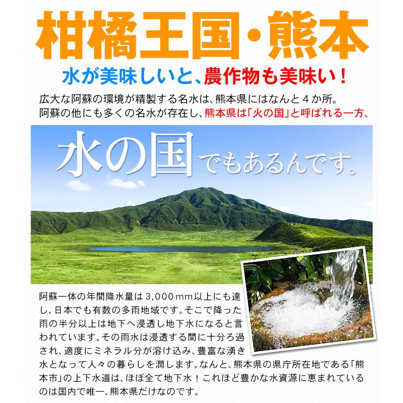 みかん 10kg 熊本産 大特価 みかん ご家庭用 送料無料 食品