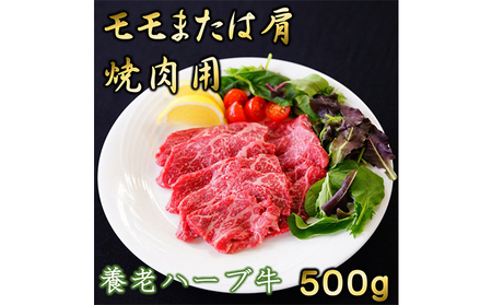 養老ハーブ牛　モモまたは肩　焼肉用　500g