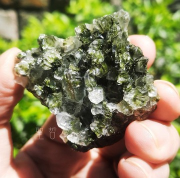 🌿土桑展精選：土耳其綠簾石共生水晶0321-43號 Epidote ~釋放負面性、擁抱正面模式、散發吸引力