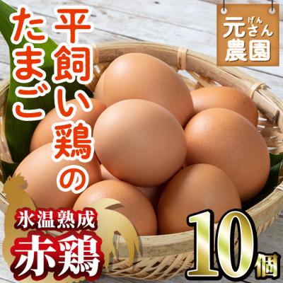 ふるさと納税 佐伯市 平飼い赤鶏のたまご 黄嬉 (計10個) 元さん農園