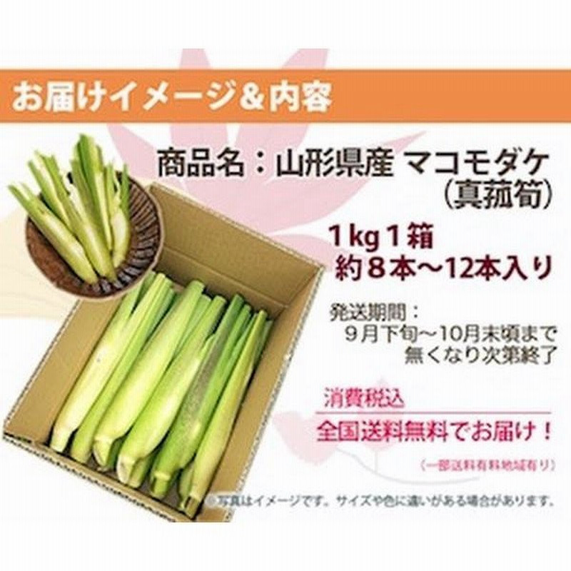 マコモダケ 1kg 約 8本〜12本 山形産 国産 真菰筍 マコモタケ