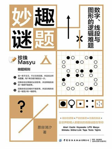 【電子書】妙趣谜题：数字、线段与图形的逻辑难题