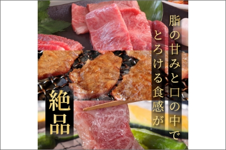 大浦和牛焼肉セット(1kg)《牛肉 牛 国産 焼肉 セット おすすめ ロース 美味しい 牛タン ハラミ ヒレ 食べ比べ バーベキュー》