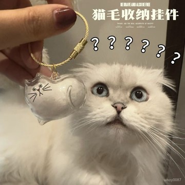 🛒臺灣有貨⚡透明貓毛收納盒吊飾貓咪毛髮收集儲存存放紀念收藏膠囊鑰匙扣掛件