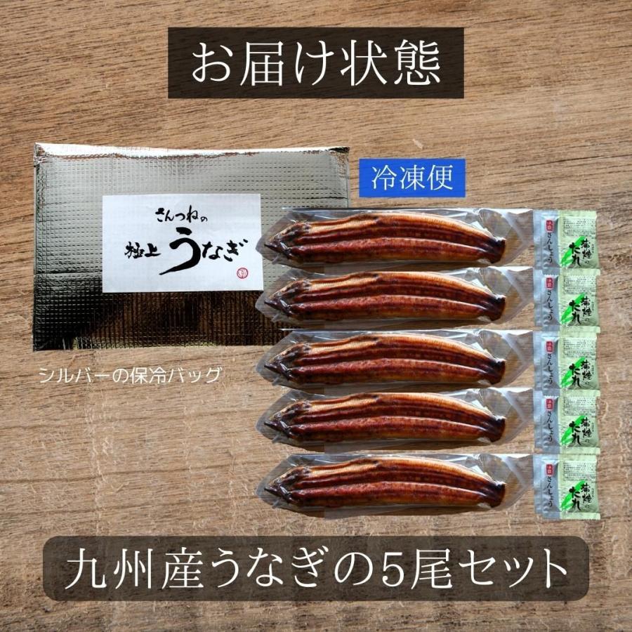 国産うなぎ蒲焼　5尾(約125ｇ×5）　 うなぎ 鰻 ウナギ 蒲焼 うな丼