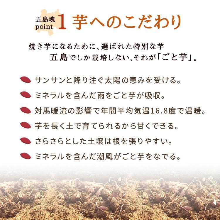 お歳暮 ギフト プレゼント 冷凍焼き芋 和菓子 スイーツ さつまいも ごと焼きごと芋6袋セット 総量1.8kg