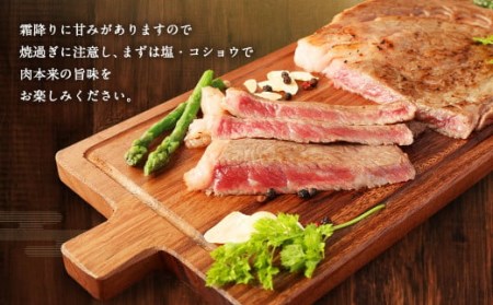 豊後牛 サーロイン ステーキ 400g (200g×2) 牛肉