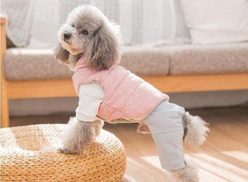 寵物冬衣 狗狗衣服泰迪裝寵物加厚保暖美四腳衣小型犬幼犬小狗棉衣  瑪麗蘇