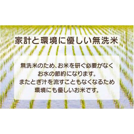 ふるさと納税 [051-c005] 定期便 ≪3ヶ月連続お届け≫ 無洗米 ふるさと福井県産 コシヒカリ 5kg × 3回（計15kg） 【米 ご飯 ご当地 お取り.. 福井県敦賀市