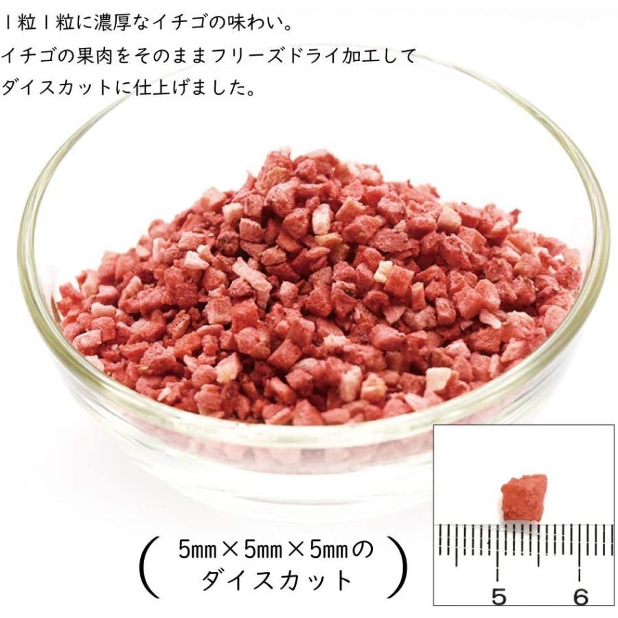 フリーズドライ イチゴ 200g ダイスカット 5mm×5mm×5mm 無添加