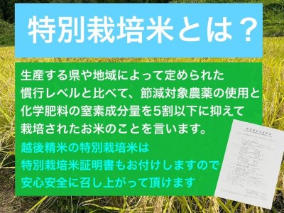 新潟県減農薬特別栽培米 そのまんま真空パック  900ｇ×6袋セット