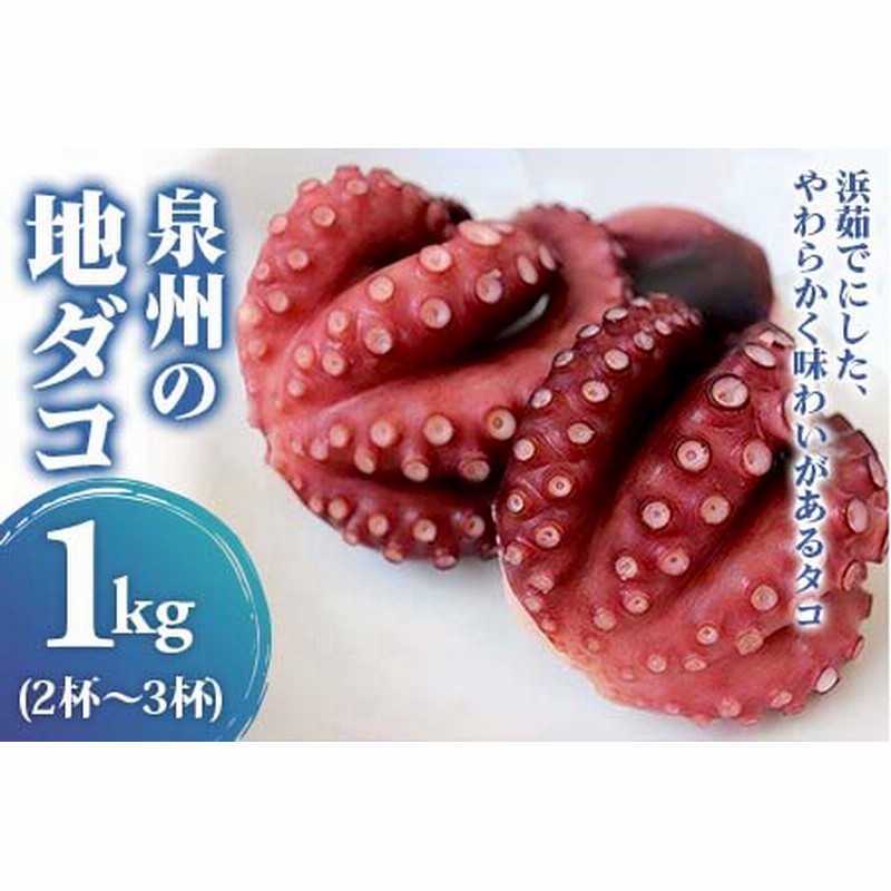 偉大な 蒸しタコ 訳あり 真蛸 真タコ 真たこ マダコ 500g 2〜3人向け