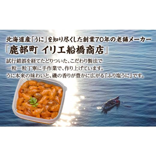 ふるさと納税 北海道 鹿部町 うに 100g 北海道産 ふり塩うに エゾバフンウニ 冷凍保存 うに丼 生うにの旨み おつまみ