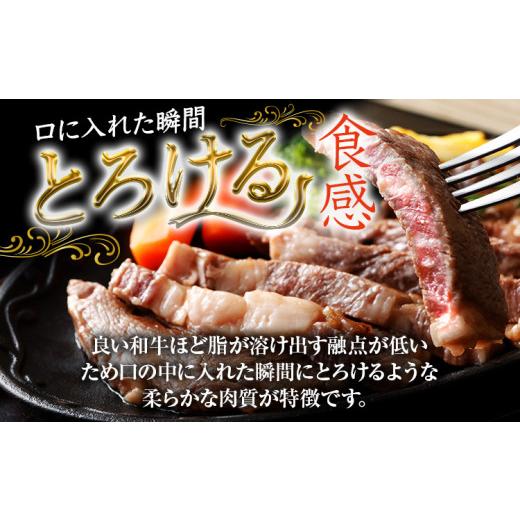 ふるさと納税 福岡県 田川市 博多和牛　サーロインステーキ　750g