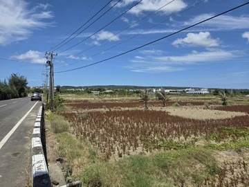 恆春核心圈2.8甲大面寬有水電農地｜屏東縣恆春鎮四溝段