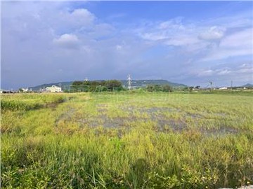 路竹大面寬7分方正農地｜高雄市路竹區​